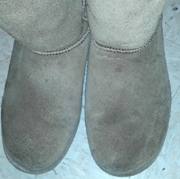 Bear paws - Picture 1 of 2